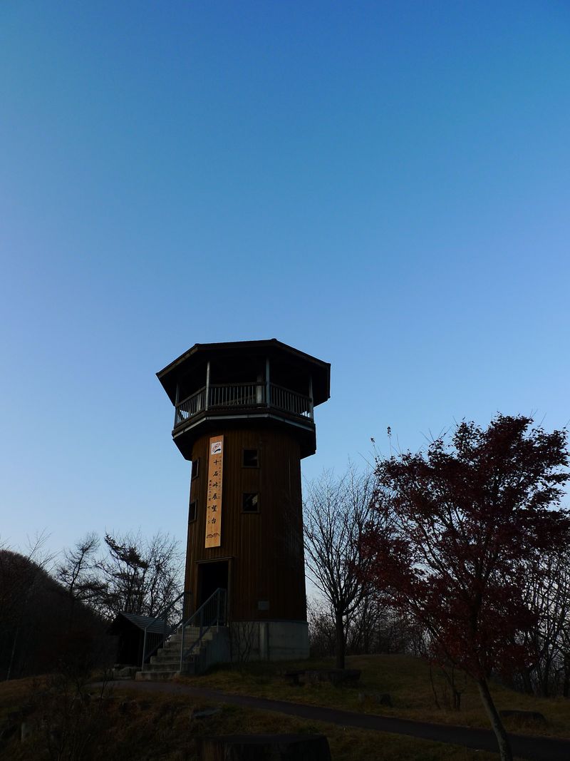 P1020168_7593