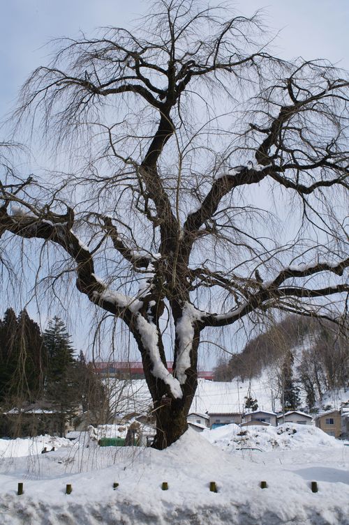 IMGP2776_9336-1