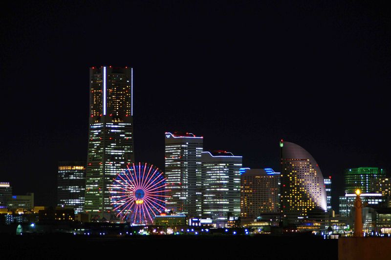 自然へカエル 横浜ベイブリッジ